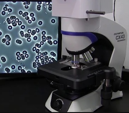 Ассортимент темнопольных микроскопов и правила выбора оптимальной модели