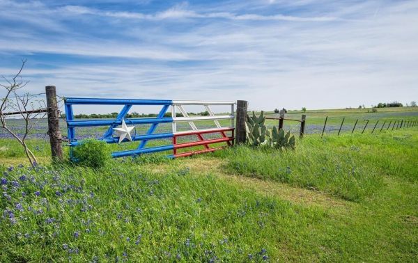 В Техасе потребовали провести референдум по вопросу отделения штата от США В Техасе потребовали провести референдум по вопросу отделения штата от США