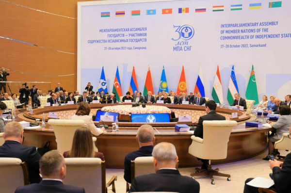 Страны СНГ будут совместно бороться с вмешательством в выборы