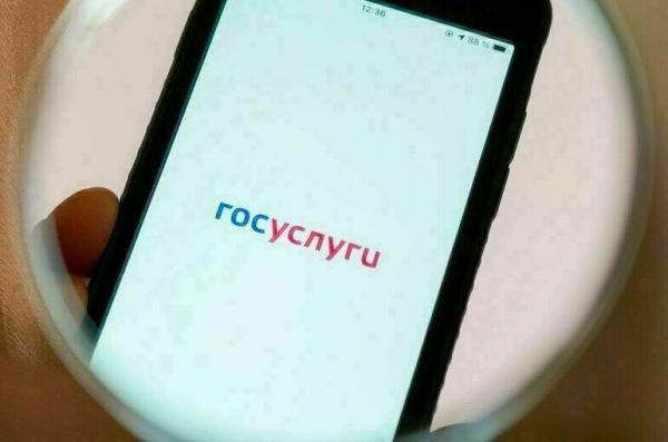 Налоговые документы хотят разрешить подавать через портал «Госуслуг»