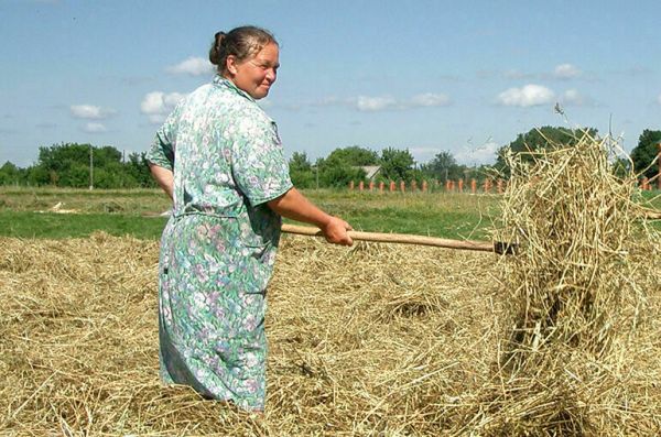 Сельским работницам предложили дать право переносить дополнительные выходные