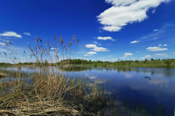 В кабмине предложили уточнить правила установки границ водоохранных зон В кабмине предложили уточнить правила установки границ водоохранных зон