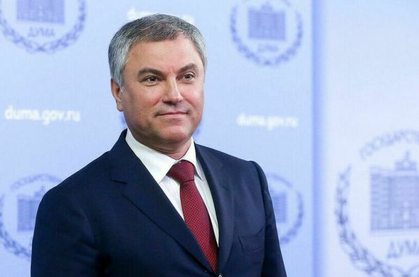 Володин предложил россиянам обсудить запрет для иностранцев услуг суррогатных матерей Володин предложил россиянам обсудить запрет для иностранцев услуг суррогатных матерей