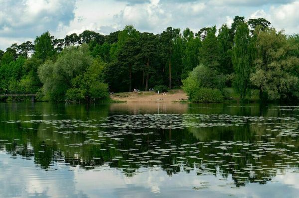 Право разработки правил пользования пляжами хотят передать муниципалитетам    