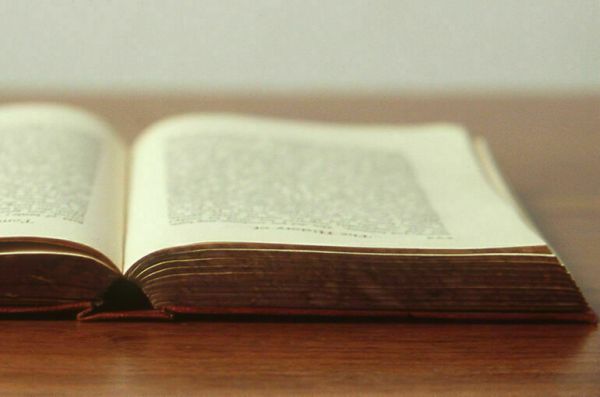 Прокуроры обнаружили в Сети &laquo;Лето в пионерском галстуке&raquo;