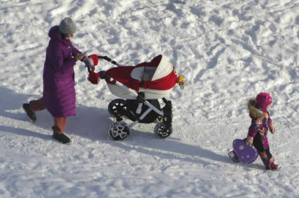 В Госдуму внесли законопроект о предоставлении маткапитала в новых регионах В Госдуму внесли законопроект о предоставлении маткапитала в новых регионах
