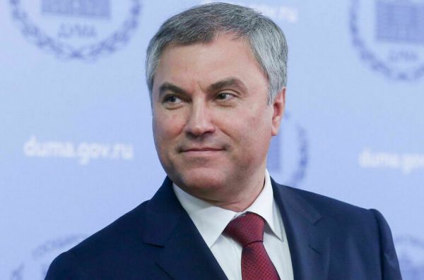 Володин обсудил с главами делегаций парламентов Африки новые форматы партнерства