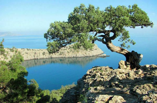 Петр прорубил окно в Северную Европу, а Екатерина открыла дверь в Южную Петр прорубил окно в Северную Европу, а Екатерина открыла дверь в Южную