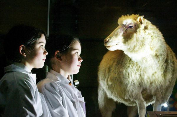 Политическим партиям написали правила 