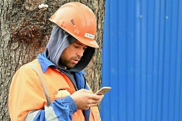 В странах СНГ задумали создать онлайн-платформу по поиску трудовых ресурсов В странах СНГ задумали создать онлайн-платформу по поиску трудовых ресурсов