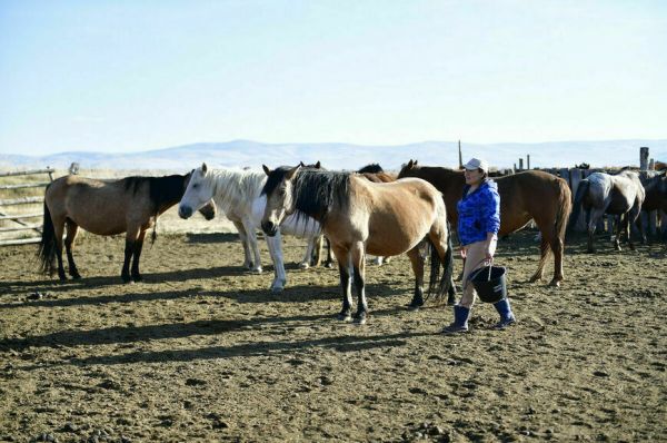 Какие выплаты освобождены от подоходного налога Какие выплаты освобождены от подоходного налога