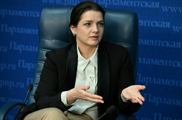 Костенко: необходимо ввести ответственность за незаконную деятельность гидов