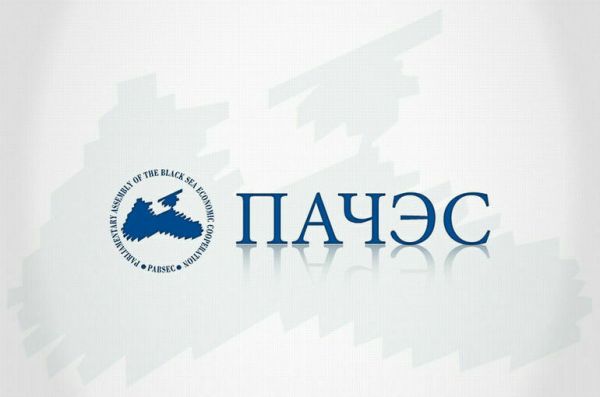 Украинский депутат напал на члена российской делегации на саммите ПАЧЭС Украинский депутат напал на члена российской делегации на саммите ПАЧЭС