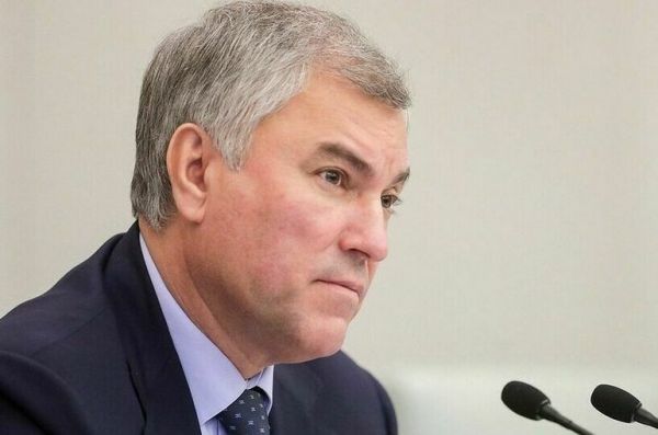 Володин: В рассмотрении отчета Москальковой участвуют представители 79 регионов Володин: В рассмотрении отчета Москальковой участвуют представители 79 регионов