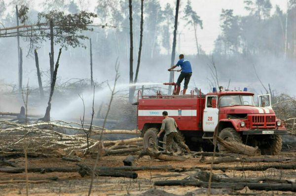 Россиян убедили больше доверять правоохранителям Россиян убедили больше доверять правоохранителям
