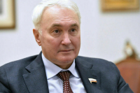 Чепа назвал провокацией митинг против прибытия лайнера из России в Батуми