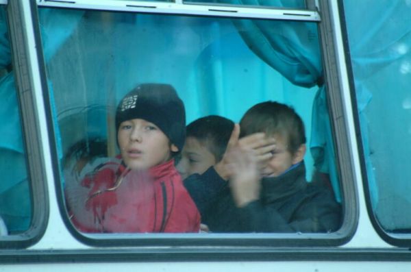 В ЛДПР предложили бесплатно перевозить школьников в городах