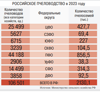 Дистанционное электронное голосование: Москва, далее везде Дистанционное электронное голосование: Москва, далее везде