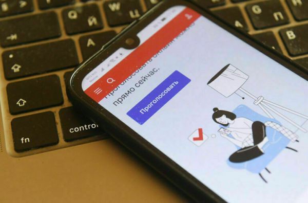 Как наблюдать за электронным голосованием Как наблюдать за электронным голосованием