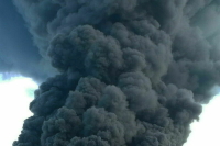 Пискарев: Утратившие доверие чиновники пять лет не смогут работать на госслужбе Пискарев: Утратившие доверие чиновники пять лет не смогут работать на госслужбе