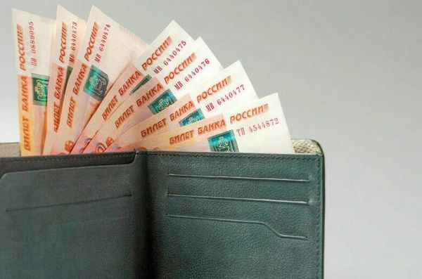 Разночтения в вопросе получения маткапитала россиянами предложили устранить