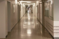 Пискарев обвинил ЕС в оказании давления на российских избирателей