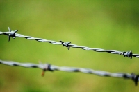 Алексей Чепа: Не удивлюсь, если вину за ЧП на Balticconnector возложат на Россию Алексей Чепа: Не удивлюсь, если вину за ЧП на Balticconnector возложат на Россию