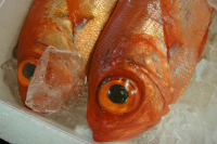 Минпромторг рассмотрит запрет на госзакупку импортных канцтоваров