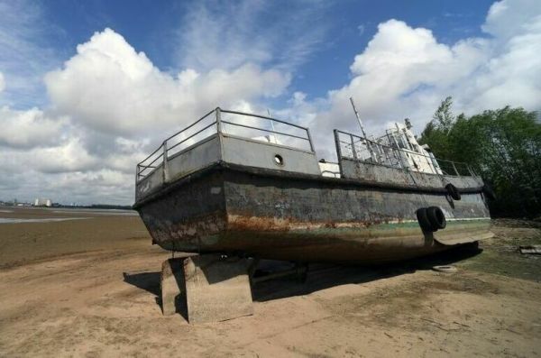 Кабмин и Генпрокуратуру попросят заняться состоянием Волги