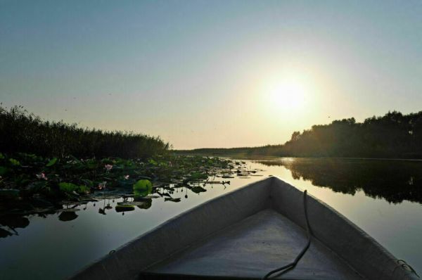 Россияне могут остаться без астраханской воблы