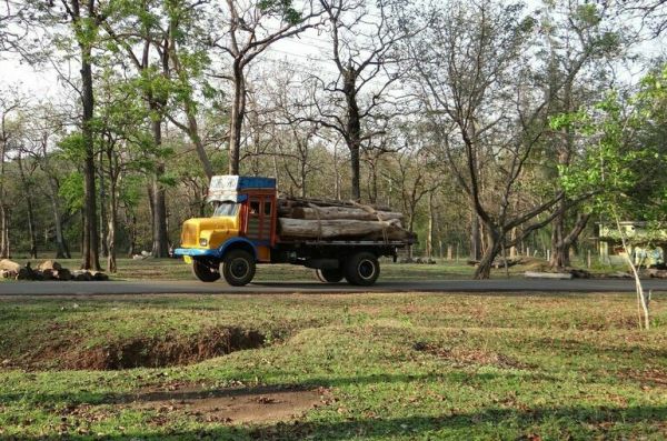 За перевозку древесины без сопроводительного документа предложили штрафовать За перевозку древесины без сопроводительного документа предложили штрафовать