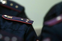 Законопроект о наказании за треш-стримы с животными направлен в Правительство