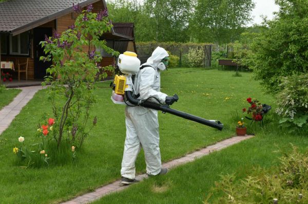 Госрегистрацию предназначенных для экспорта пестицидов предложили отменить