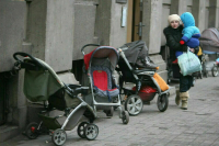 Картаполов: Весной Госдума рассмотрит инициативы об уравнивании прав бойцов СВО