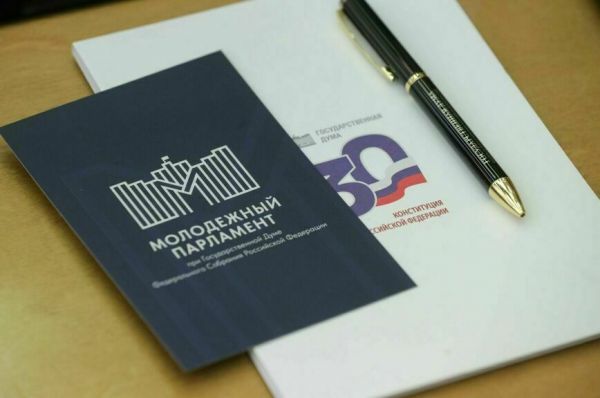 Участников СВО зовут в местные молодежные парламенты Участников СВО зовут в местные молодежные парламенты