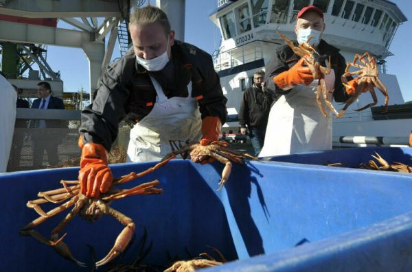 Когда в России появятся свои краболовы