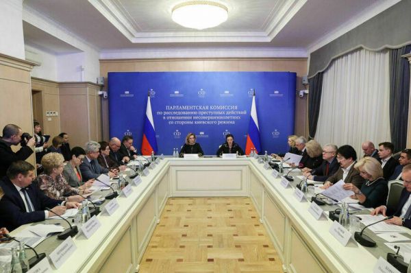 Парламентарии просят Минцифры защитить детей от украинских фейков