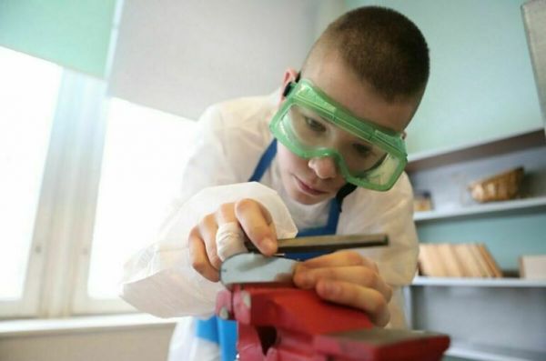 Депутаты не обнаружили в программе уроков по труду шитья и столярного дела