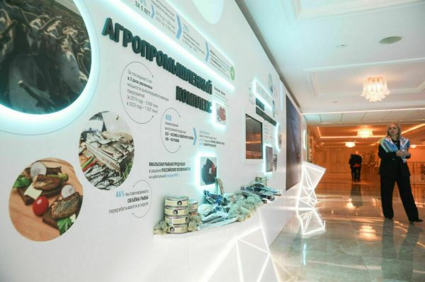 Оленей на Ямале больше, чем людей, но это пока Оленей на Ямале больше, чем людей, но это пока