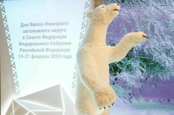 Оленей на Ямале больше, чем людей, но это пока Оленей на Ямале больше, чем людей, но это пока