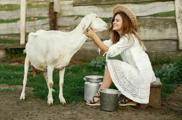 В Госдуму внесли законопроект о развитии сельского туризма В Госдуму внесли законопроект о развитии сельского туризма