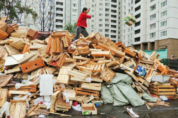 Минприроды: В России сортируется более 50% бытовых отходов Минприроды: В России сортируется более 50% бытовых отходов