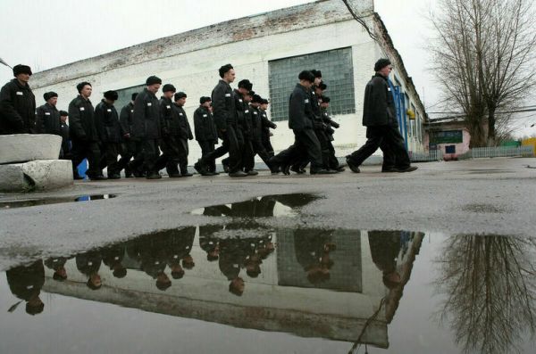 В Госдуме рассказали, кого отправят на фронт из тюрем и СИЗО