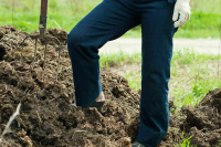 Пчел хотят защитить от ядохимикатов штрафами