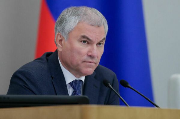 Володин предложил отстранять от должности за несвоевременное выполнение законов