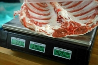 Госдума приняла закон о реестре неплательщиков алиментов