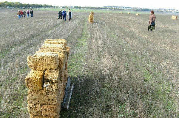 «Новые люди» предложили выдавать участки нуждающимся только с инфраструктурой «Новые люди» предложили выдавать участки нуждающимся только с инфраструктурой