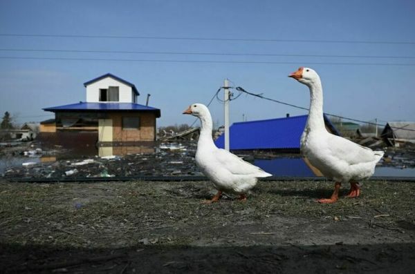 За мародерство во время ЧС предложили ввести уголовное наказание
