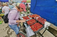 Депутат Водолацкий: Зеленский не отдает отчета в своих действиях