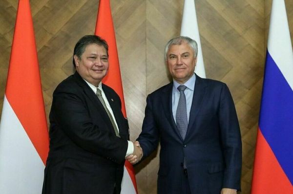 Володин предложил создать комиссию высокого уровня с парламентом Индонезии
